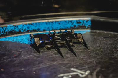 rr-29-mar26 — rr-29-mar26-1-2k-77.jpg